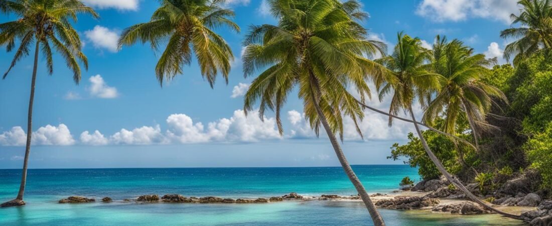 Best Time of Year to Visit Montego Bay Jamaica