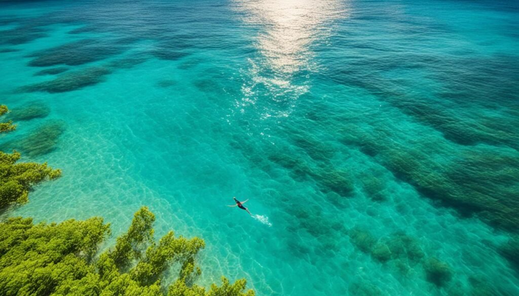 Swimming in Jamaica Swimming in Jamaica