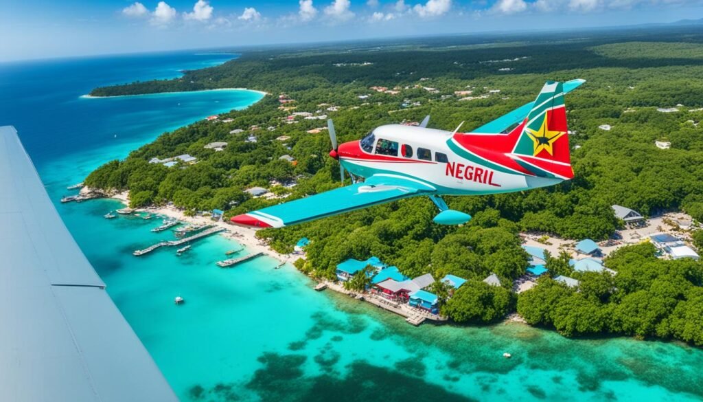 tips for flying into Negril tips for flying into Negril